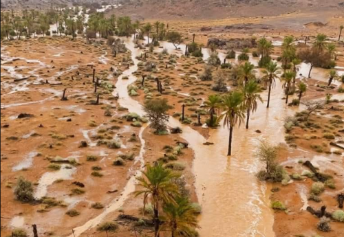 رياح قوية وأمطار جد قوية وتساقطات ثلجية يومي الجمعة والسبت بعدد من مناطق المملكة