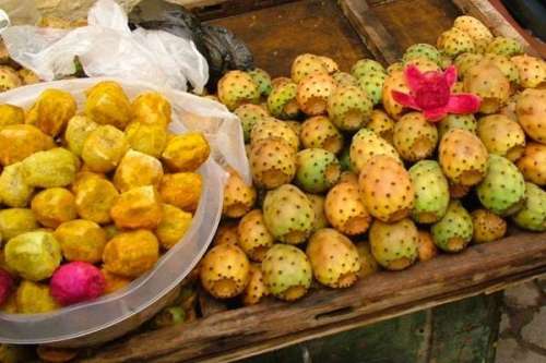 فسحة رمضانية..مابين الحشرة القرمزية والفراقشية..غاب السردين والهندية عن مائدة إفطار الفآت الشعبية ..