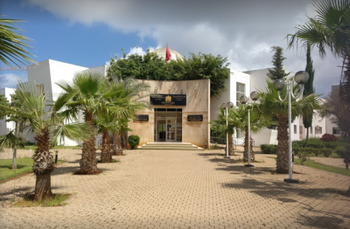 تساؤلات  حول تدبير برامج البحث داخل معهد علوم الآثار والتراث