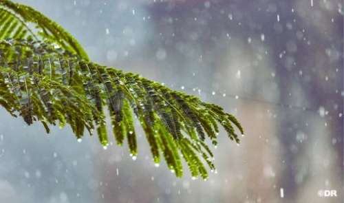 زخات رعدية محليا قوية مع تساقط البرد يومي الخميس والجمعة بعدد من مناطق المملكة