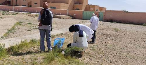 النادي البيئي بثانوية بومالن دادس يقود حملة بيئية بمحيط المؤسسة