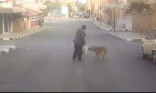 الرشيدية..مدينة تشرب الشمس ووجع البقاء  بين غرباء يحملون وجع الرحيل