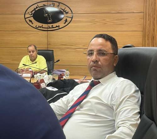 د.سيدي محمد رشيد حاميدي يكتب ..معركة المحامين من أجل المشروعية الدستورية ودولة القانون تحت سقف الثوابت الدستورية.